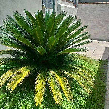 הוילה Casa Agradavel Em Camboriu Com Estacionamento No Patio מראה חיצוני תמונה